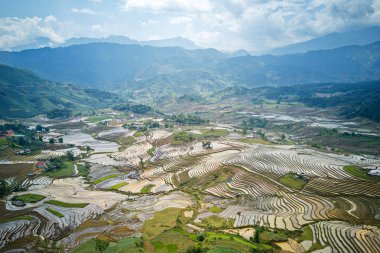 Sulama mevsiminde pirinç terasları, Y Ty, Lao Cai, Vietnam.