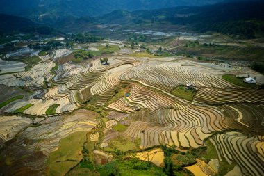 Sulama mevsiminde pirinç terasları, Y Ty, Lao Cai, Vietnam.