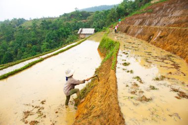 Mu Cang Chai, Yen bai, Vietnam'daki teraslı pirinç tarlalarında yeni bir mahsul için hazırlıklar.