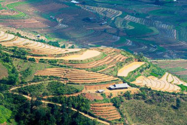 Mu Cang Chai, Vietnam sulama sezonunda güzel pirinç terasları, Mayıs 2019