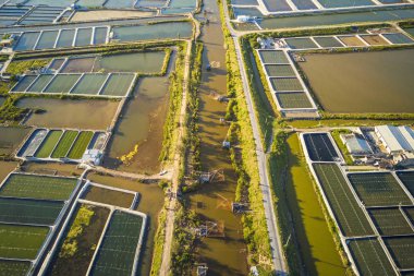 Orada karides çiftlikleri ve geleneksel balıkçılık ağları bir sürü Giao Thuy plaj havadan görünümü.