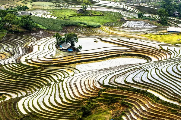 Rice Terraces Watering Season Lao Cai Vietnam — Stock Photo, Image