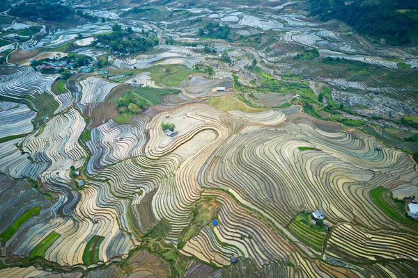 Rice terraces in watering season, Y Ty, Lao Cai, Vietnam.
