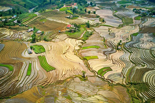 Terrazas Arroz Temporada Riego Lao Cai Vietnam — Foto de Stock