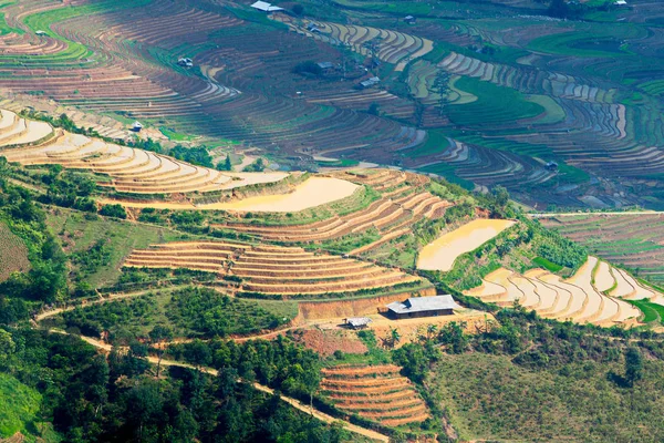 Beautiful Rice Terraces Cang Chai Vietnam Watering Season May 2019 — Stock Photo, Image
