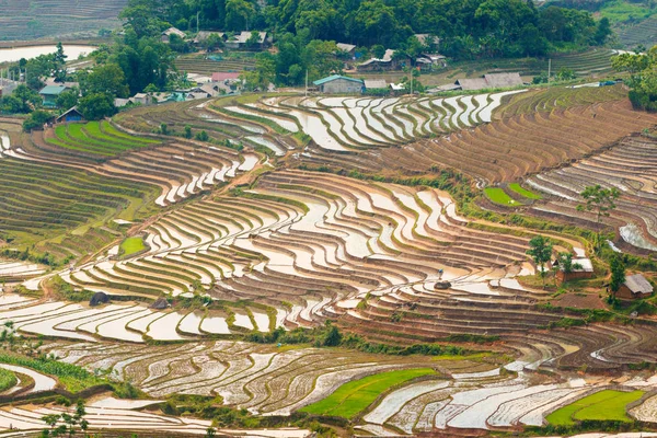 Imagen Grandes Terrazas Arroz Lao Cai Vietnam Temporada Riego Mayo — Foto de Stock