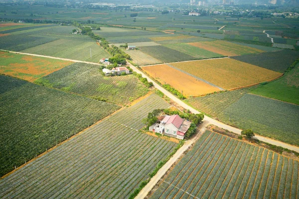 Vista Aérea Piñas Tam Diep Ninh Binh Vietnam — Foto de Stock