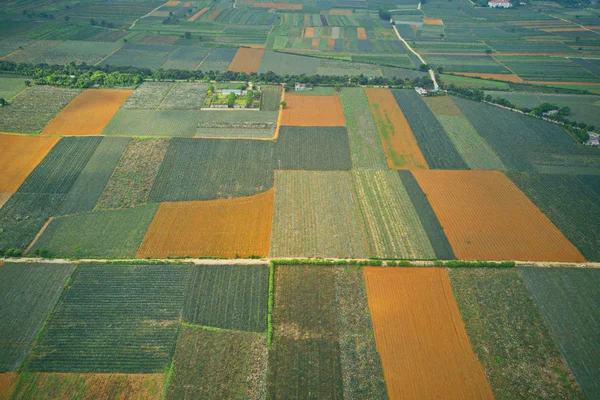 Vista Aérea Piñas Tam Diep Ninh Binh Vietnam — Foto de Stock