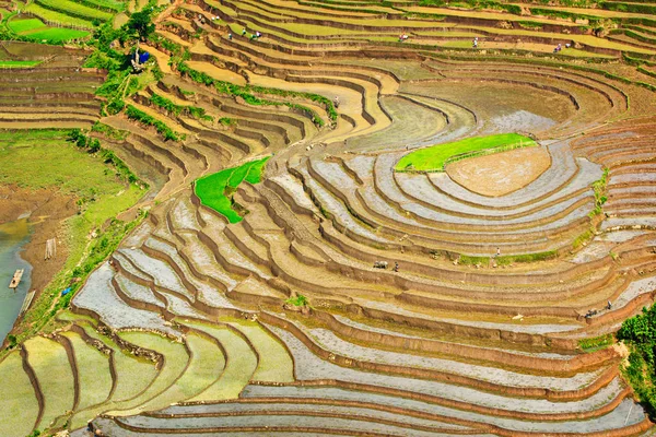 Landschap Van Waterige Terrassen Lao Cai Vietnam — Stockfoto