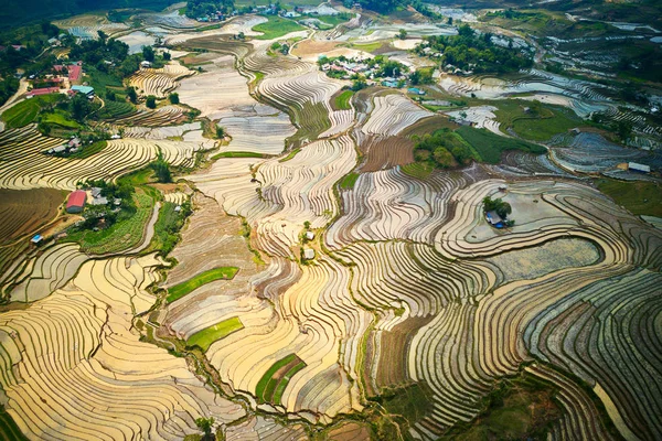 Aerial image of rice terraces in watering season, Y Ty, Lao Cai, Vietnam.