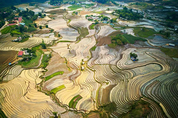 Antenn Bild Risterrasser Bevattnings Säsongen Lao Cai Vietnam — Stockfoto