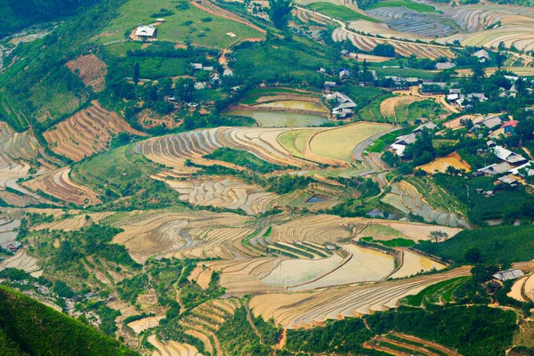 Paysage Très Impressionnant Cang Chai Vietnam Saison Plantation Riz — Photo