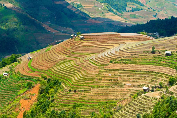 田植えシーズンのベトナム ムーカンチャイの非常に印象的な風景 — ストック写真