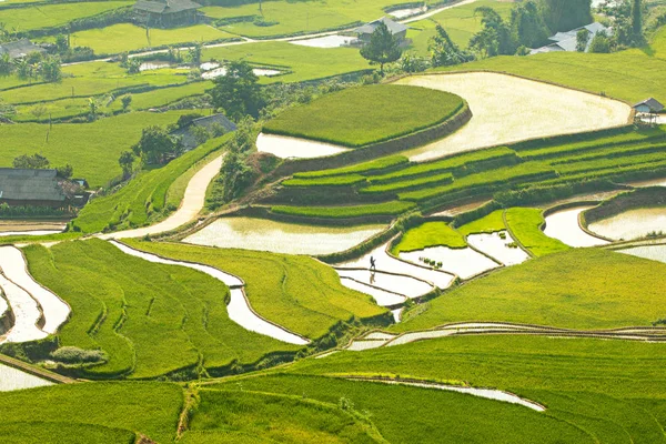 Красивый Ландшафт Террас Кан Чай Вьетнам Сезон Посадки Риса — стоковое фото