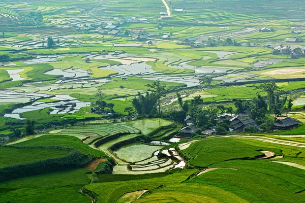 Beautiful Landscape Terraces Cang Chai Vietnam Rice Planting Season — Stock Photo, Image