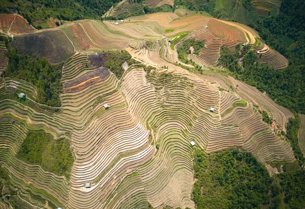 Aerial view of rice terraced fields in Mu Cang Chai, Vietnam at watering season.