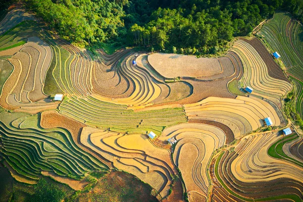 Vista Aérea Los Campos Arroz Terrazas Cang Chai Vietnam Temporada — Foto de Stock