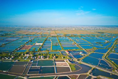 Giao Thuy, Vietnam kıyı bölgesinde büyük karides ıslah çiftlikleri havadan görüntü.