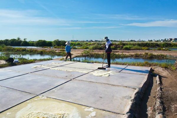 Bach Long Salt Fields Namdinh Vietnam Juin 2019 Travailleurs Sel — Photo