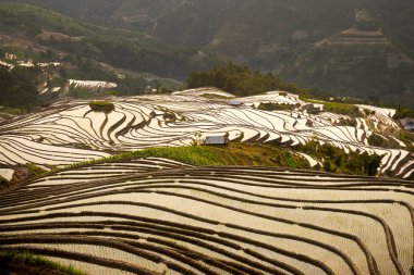 Ha Giang, Vietnam'da teraslı pirinç tarlaları nda gün batımı.