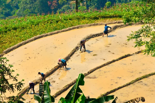 Giang Vietnam Mayo 2017 Agricultores Étnicos Trabajando Sus Campos — Foto de Stock