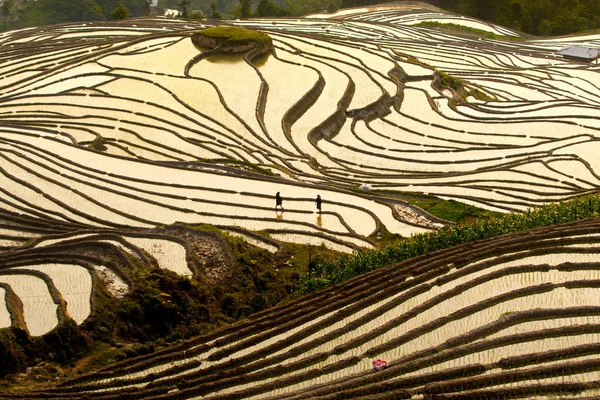 Zonsondergang Rijstterrassen Hoge Bergen Giang Vietnam — Stockfoto