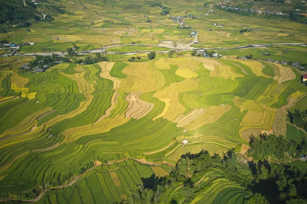 Imagen Aérea Hermosos Campos Arroz Maduro Cang Chai Vietnam Tiempo — Foto de Stock