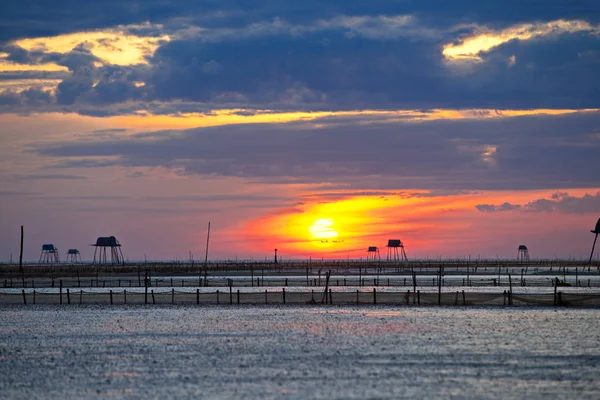 Восход Солнца Моллюсках Пляже Донг Чау Тай Бинь Вьетнам — стоковое фото