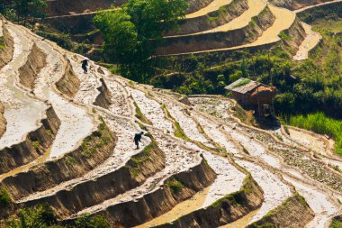 Sulama sezonunda Ha Giang, Vietnam'daki teraslı alanların güzelliği.