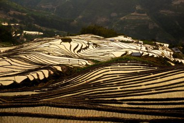 Ha Giang, Vietnam yüksek dağlarda pirinç terasları üzerinde gün batımı.