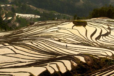 Ha Giang, Vietnam yüksek dağlarda pirinç terasları üzerinde gün batımı.
