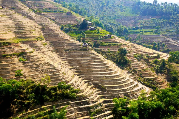 Beauty Terraced Fields Giang Vietnam Watering Season — Stock Photo, Image