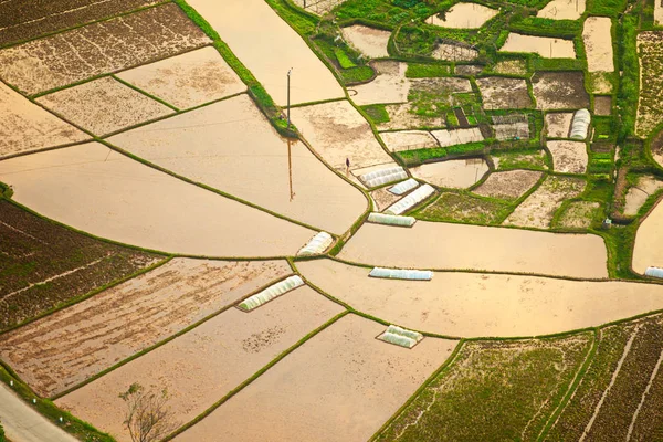 Падди Поля Вьетнаме Закате — стоковое фото
