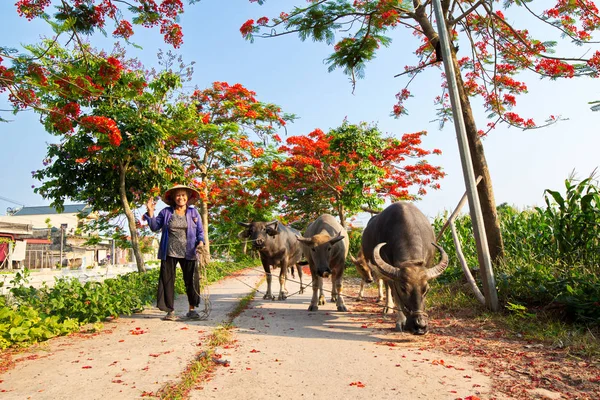 Namdinh Vietnam Mai 2019 Une Femme Handicapée Non Identifiée Conduisant — Photo