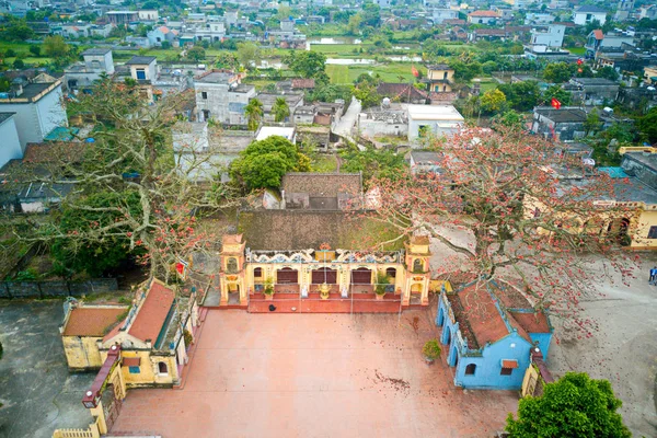 Thaibinh Vietnam Mar 2019 Bombax Blommar Över Ett Gammalt Tempel — Stockfoto