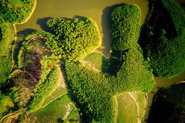 Thanh Chuong, Nghe An, Vietnam'daki adalardaki çay tarlalarının havadan görüntüsü.