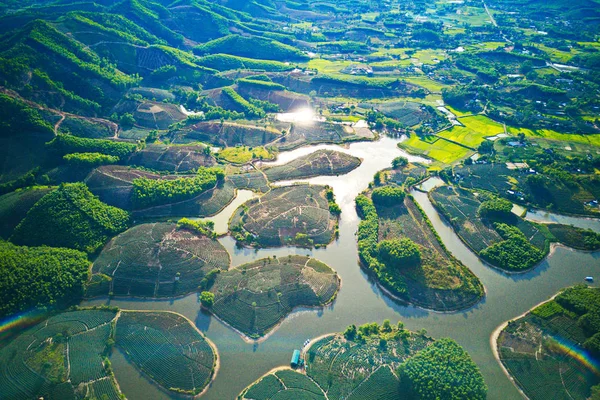 Aerial image of tea plantations on islands in Thanh Chuong, Nghe An, Vietnam.