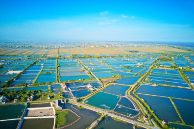 Giao Thuy, Vietnam kıyı bölgesinde büyük karides ıslah çiftlikleri havadan görüntü.