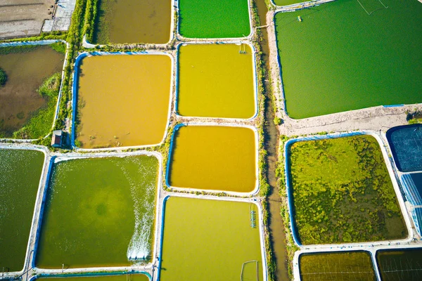 Image Aérienne Grandes Fermes Élevage Crevettes Dans Région Côtière Giao — Photo