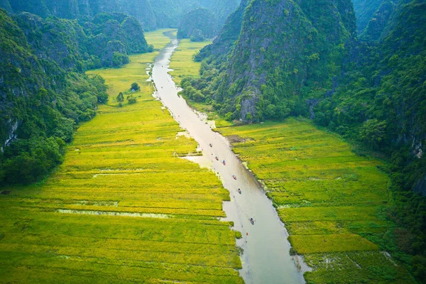 Immagine Aerea Tam Coc Momento Del Raccolto Questo Uno Dei — Foto Stock