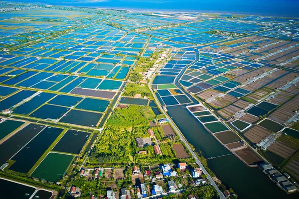 Aerial image of large shrimp breeding farms in the coastal region of Giao Thuy, Vietnam.