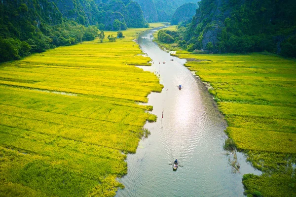 收获时塔姆科克的航空图像 这是越南最著名的观光景点之一 游客可以沿着溪流巡航 旁边有漂亮的稻田 — 图库照片