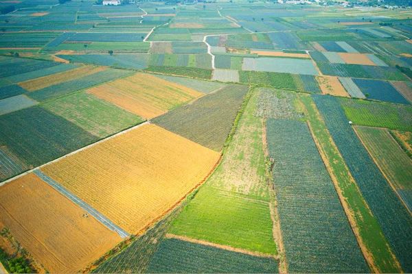 Zdjęcie Lotnicze Plantacji Ananasów Tam Diep Ninh Binh Wietnam — Zdjęcie stockowe