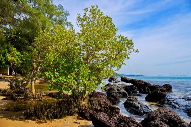 Phu Quoc adalarınice manzara, Vietnam