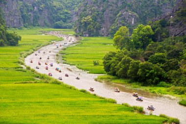 Tam Coc, Ninh Binh, Vietnam - Nis. 30, 2017: Turistler olgunlaşan pirinç tarlaları içinde bir dere boyunca seyahat.