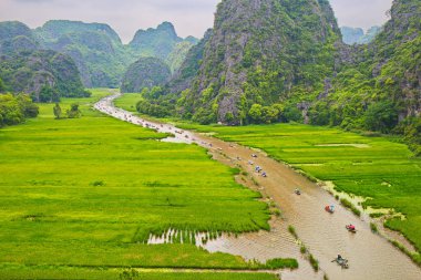 Tam Coc, Ninh Binh, Vietnam - Nis. 30, 2017: Turistler olgunlaşan pirinç tarlaları içinde bir dere boyunca seyahat.