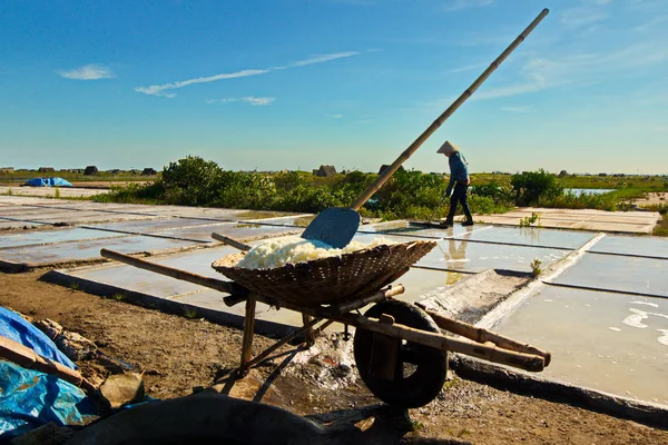 Namdinh Vietnam Juni 2019 Lokal Bonde Som Arbetar Salt Fält — Stockfoto