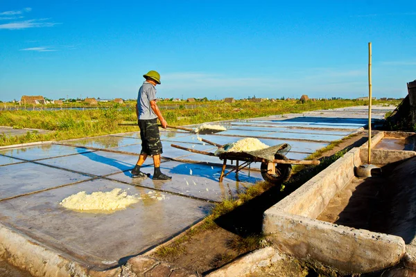 Namdinh Vietnam Juin 2019 Agriculteur Local Travaillant Sur Des Champs — Photo