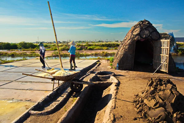 Namdinh Vietnam Juni 2019 Lokal Bonde Som Arbetar Salt Fält — Stockfoto