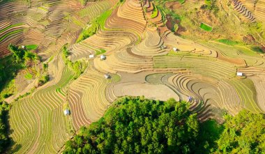 Mu Cang Chai pirinç terasları havadan görüntü, Sulama sezonunda Vietnam.
